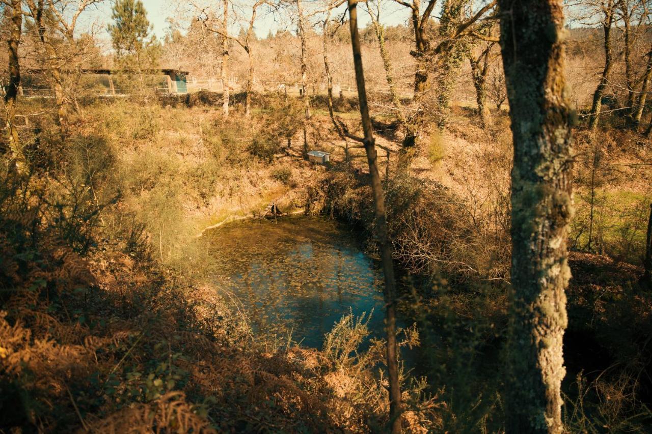 Albergue Bergando Negreira Εξωτερικό φωτογραφία